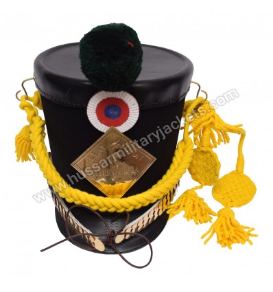 Shako Regiment of Guards of Honor of the 117th