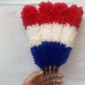 4 Tri-Color Red, White & Blue Feather Hackles
