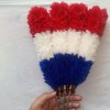 4 Tri-Color Red, White & Blue Feather Hackles